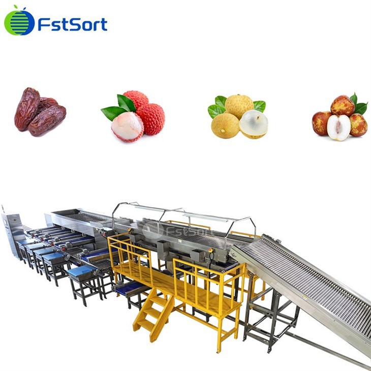 FstSort Best-Selling Date Washing Roller Sorting Machine high quality