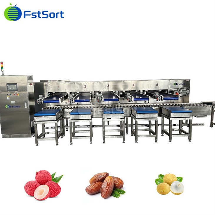 FstSort Best-Selling Date Washing Roller Sorting Machine best