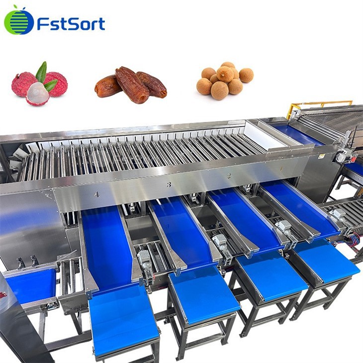 FstSort Best-Selling Date Washing Roller Sorting Machine price