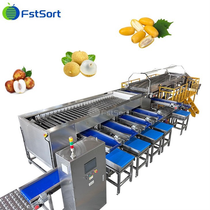 FstSort Best-Selling Date Washing Roller Sorting Machine high quality