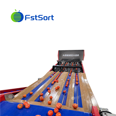 Tomat AI Smart klasman machin